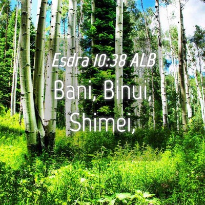 Picture 04 - Esdra 10:38 ALB - Bani, Binui, - Bible Verse Picture