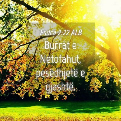 Picture 04 - Esdra 2:22 ALB - Burrat e Netofahut, pesëdhjetë e - Bible Verse Picture