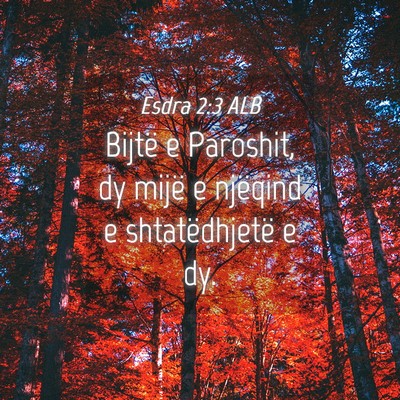 Picture 04 - Esdra 2:3 ALB - Bijtë e Paroshit, dy mijë e njëqind e - Bible Verse Picture
