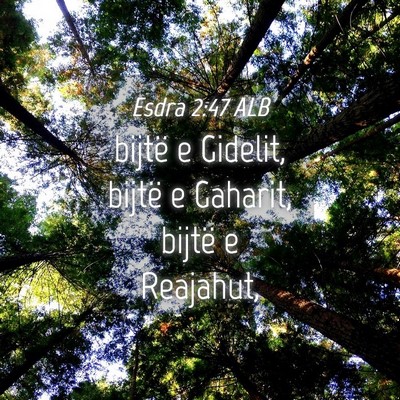 Picture 04 - Esdra 2:47 ALB - bijtë e Gidelit, bijtë e Gaharit, bijtë e - Bible Verse Picture