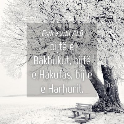 Picture 04 - Esdra 2:51 ALB - bijtë e Bakbukut, bijtë e Hakufas, bijtë e - Bible Verse Picture