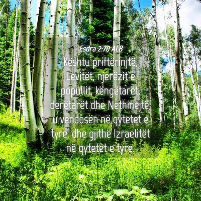 Picture 04 - Esdra 2:70 ALB - Kështu priftërinjtë, Levitët, njerëzit e - Bible Verse Picture