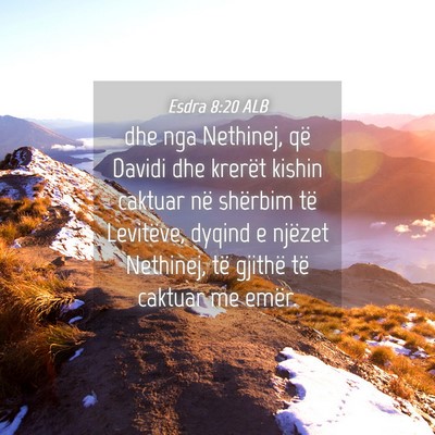 Picture 04 - Esdra 8:20 ALB - dhe nga Nethinej, që Davidi dhe krerët kishin - Bible Verse Picture