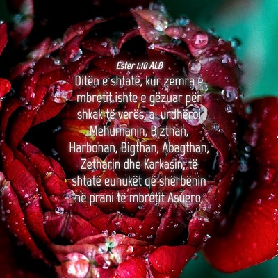 Picture 04 - Ester 1:10 ALB - Ditën e shtatë, kur zemra e mbretit ishte e - Bible Verse Picture