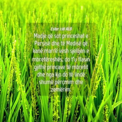 Picture 04 - Ester 1:18 ALB - Madje që sot princeshat e Persisë dhe të - Bible Verse Picture