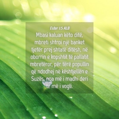 Picture 04 - Ester 1:5 ALB - Mbasi kaluan këto ditë, mbreti shtroi një - Bible Verse Picture