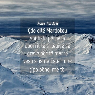 Picture 04 - Ester 2:11 ALB - Çdo ditë Mardokeu shëtiste përpara oborrit - Bible Verse Picture