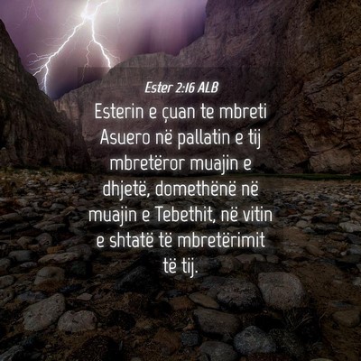 Picture 04 - Ester 2:16 ALB - Esterin e çuan te mbreti Asuero në pallatin e - Bible Verse Picture