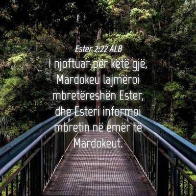 Picture 04 - Ester 2:22 ALB - I njoftuar për këtë gjë, Mardokeu lajmëroi - Bible Verse Picture