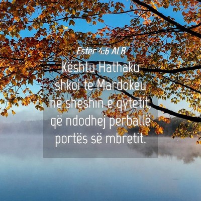 Picture 04 - Ester 4:6 ALB - Kështu Hathaku shkoi te Mardokeu në sheshin e - Bible Verse Picture