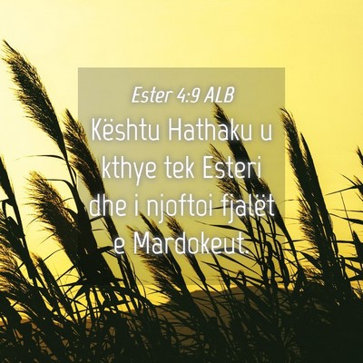 Picture 04 - Ester 4:9 ALB - Kështu Hathaku u kthye tek Esteri dhe i njoftoi - Bible Verse Picture