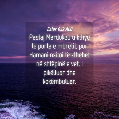 Picture 04 - Ester 6:12 ALB - Pastaj Mardokeu u kthye te porta e mbretit, por - Bible Verse Picture