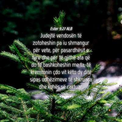 Picture 04 - Ester 9:27 ALB - Judejtë vendosën të zotoheshin pa iu shmangur - Bible Verse Picture