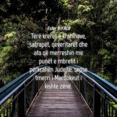 Picture 04 - Ester 9:3 ALB - Tërë krerët e krahinave, satrapët, - Bible Verse Picture