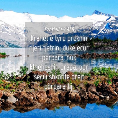 Picture 04 - Ezekieli 1:9 ALB - Krahët e tyre preknin njeri tjetrin; duke ecur - Bible Verse Picture