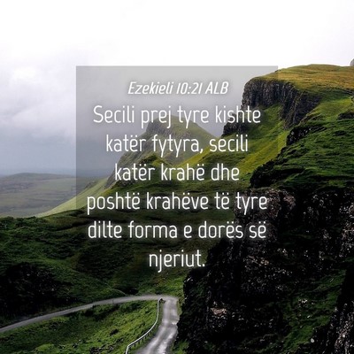 Picture 04 - Ezekieli 10:21 ALB - Secili prej tyre kishte katër fytyra, secili - Bible Verse Picture