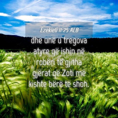 Picture 04 - Ezekieli 11:25 ALB - dhe unë u tregova atyre që ishin në robëri - Bible Verse Picture