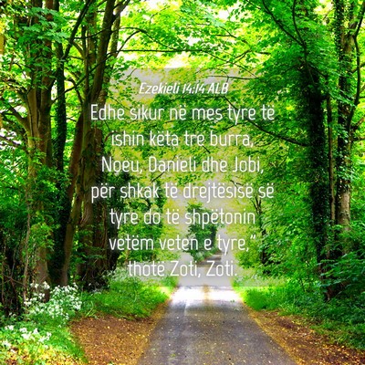 Picture 04 - Ezekieli 14:14 ALB - Edhe sikur në mes tyre të ishin këta tre - Bible Verse Picture