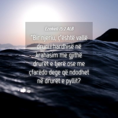 Picture 04 - Ezekieli 15:2 ALB - 