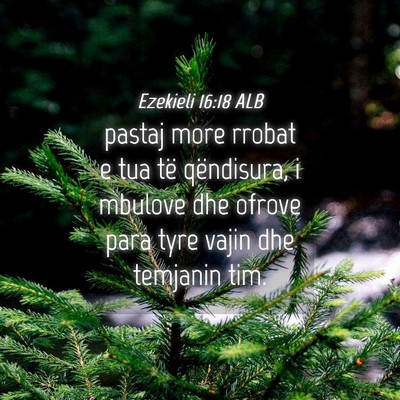 Picture 04 - Ezekieli 16:18 ALB - pastaj more rrobat e tua të qëndisura, i - Bible Verse Picture