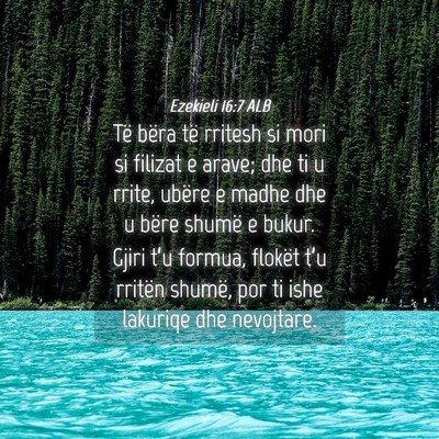 Picture 04 - Ezekieli 16:7 ALB - Të bëra të rritesh si mori si filizat e arave; - Bible Verse Picture