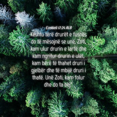 Picture 04 - Ezekieli 17:24 ALB - Kështu tërë drurët e fushës do të mësojnë - Bible Verse Picture