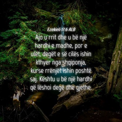 Picture 04 - Ezekieli 17:6 ALB - Ajo u rrit dhe u bë një hardhi e madhe, por e - Bible Verse Picture
