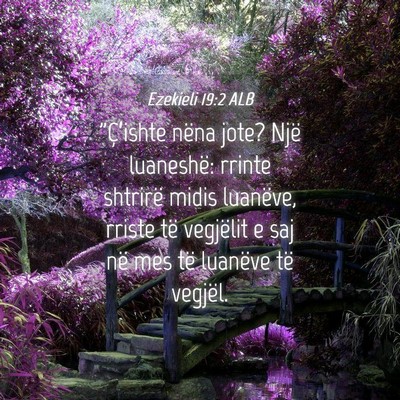 Picture 04 - Ezekieli 19:2 ALB - 