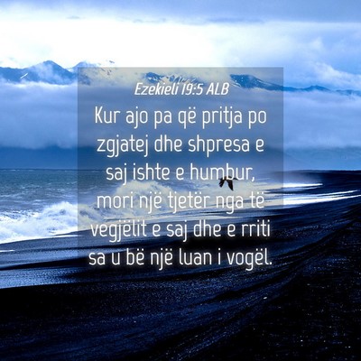 Picture 04 - Ezekieli 19:5 ALB - Kur ajo pa që pritja po zgjatej dhe shpresa e - Bible Verse Picture