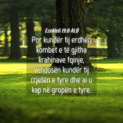 Picture 04 - Ezekieli 19:8 ALB - Por kundër tij erdhën kombet e të gjitha - Bible Verse Picture
