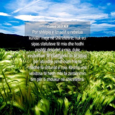 Picture 04 - Ezekieli 20:13 ALB - Por shtëpia e Izraelit u rebelua kundër meje - Bible Verse Picture