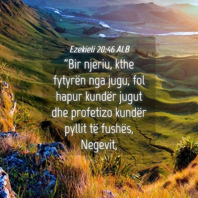 Picture 04 - Ezekieli 20:46 ALB - 