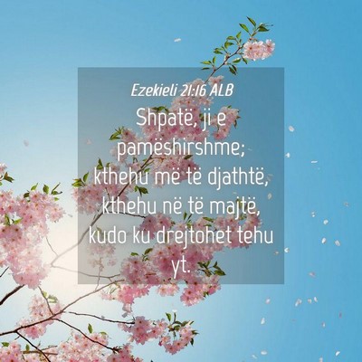 Picture 04 - Ezekieli 21:16 ALB - Shpatë, ji e pamëshirshme; kthehu më të - Bible Verse Picture