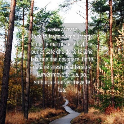Picture 04 - Ezekieli 23:29 ALB - Do të të trajtojnë me urrejtje, do të të - Bible Verse Picture