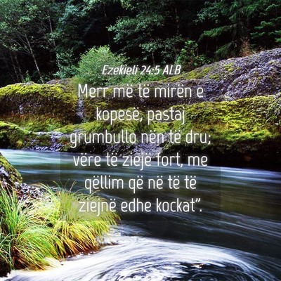 Picture 04 - Ezekieli 24:5 ALB - Merr më të mirën e kopesë, pastaj grumbullo - Bible Verse Picture
