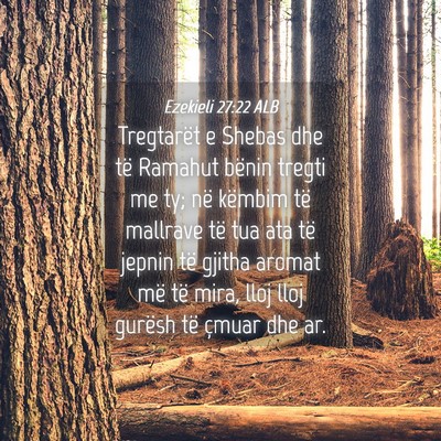 Picture 04 - Ezekieli 27:22 ALB - Tregtarët e Shebas dhe të Ramahut bënin tregti - Bible Verse Picture