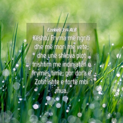 Picture 04 - Ezekieli 3:14 ALB - Kështu Fryma më ngriti dhe më mori me vete; - Bible Verse Picture