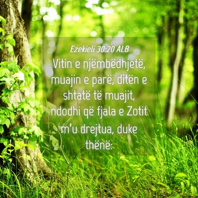 Picture 04 - Ezekieli 30:20 ALB - Vitin e njëmbëdhjetë, muajin e parë, ditën e - Bible Verse Picture