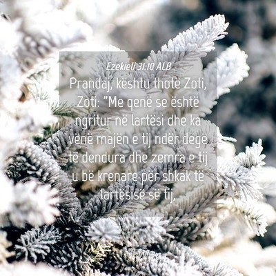 Picture 04 - Ezekieli 31:10 ALB - Prandaj, kështu thotë Zoti, Zoti: 