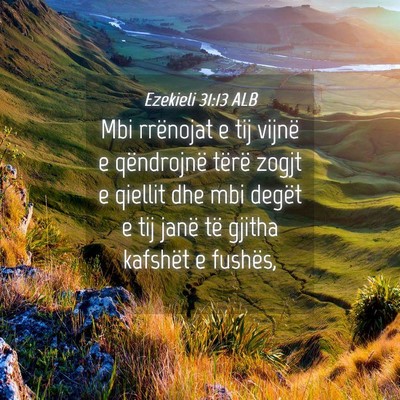 Picture 04 - Ezekieli 31:13 ALB - Mbi rrënojat e tij vijnë e qëndrojnë tërë - Bible Verse Picture