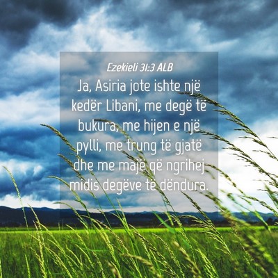 Picture 04 - Ezekieli 31:3 ALB - Ja, Asiria jote ishte një kedër Libani, me - Bible Verse Picture