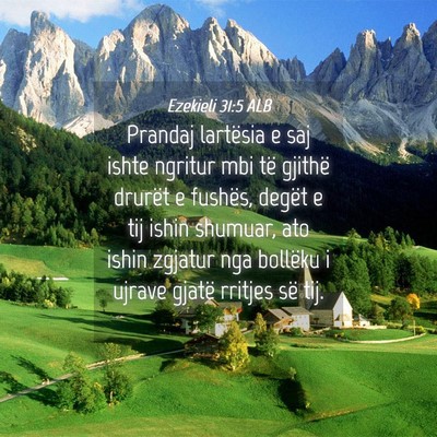 Picture 04 - Ezekieli 31:5 ALB - Prandaj lartësia e saj ishte ngritur mbi të - Bible Verse Picture