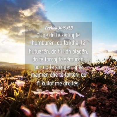 Picture 04 - Ezekieli 34:16 ALB - 