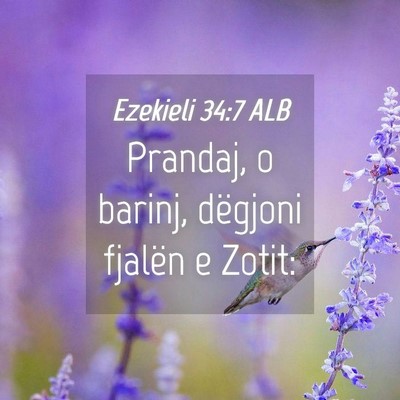 Picture 04 - Ezekieli 34:7 ALB - Prandaj, o barinj, dëgjoni fjalën e - Bible Verse Picture