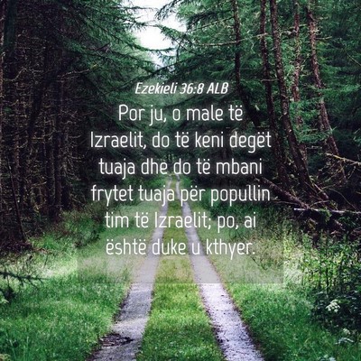 Picture 04 - Ezekieli 36:8 ALB - Por ju, o male të Izraelit, do të keni degët - Bible Verse Picture