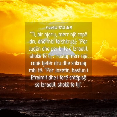 Picture 04 - Ezekieli 37:16 ALB - 