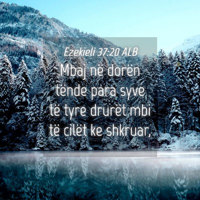 Picture 04 - Ezekieli 37:20 ALB - Mbaj në dorën tënde para syve të tyre drurët - Bible Verse Picture