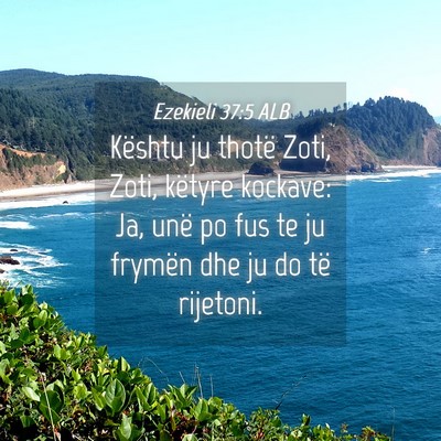 Picture 04 - Ezekieli 37:5 ALB - Kështu ju thotë Zoti, Zoti, këtyre kockave: - Bible Verse Picture
