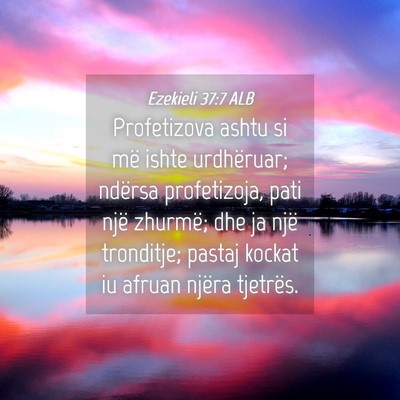 Picture 04 - Ezekieli 37:7 ALB - Profetizova ashtu si më ishte urdhëruar; - Bible Verse Picture
