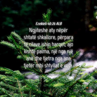 Picture 04 - Ezekieli 40:26 ALB - Ngjiteshe aty nëpër shtatë shkallore, përpara - Bible Verse Picture